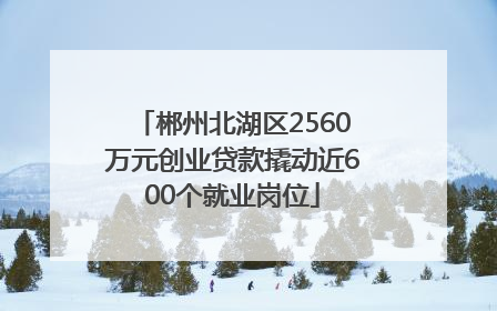 郴州北湖区2560万元创业贷款撬动近600个就业岗位