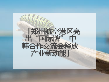郑州航空港区亮出“国际牌” 中韩合作交流会释放产业新动能