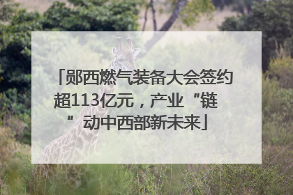 郧西燃气装备大会签约超113亿元，产业“链”动中西部新未来