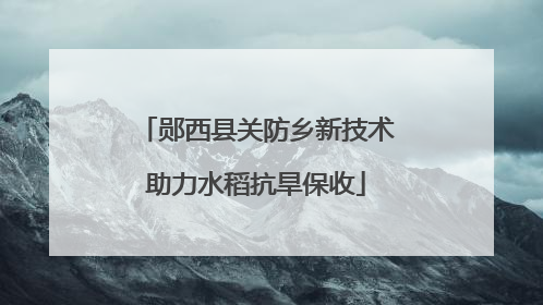 郧西县关防乡新技术助力水稻抗旱保收