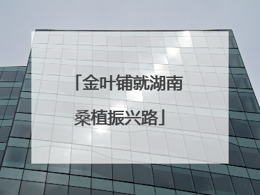金叶铺就湖南桑植振兴路