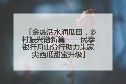 金融活水润瓜田，乡村振兴谱新篇——民泰银行舟山分行助力朱家尖西瓜甜蜜升级