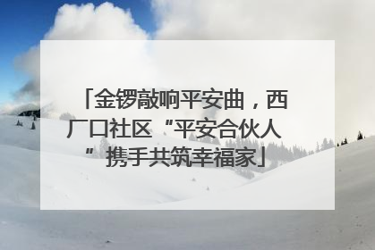 金锣敲响平安曲，西厂口社区“平安合伙人”携手共筑幸福家