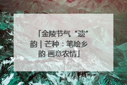 金陵节气“遗”韵｜芒种：笔绘乡韵 画意农情