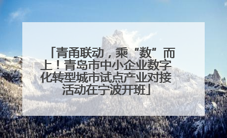 青甬联动，乘“数”而上！青岛市中小企业数字化转型城市试点产业对接活动在宁波开班