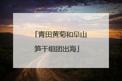 青田黄菊和阜山笋干组团出海