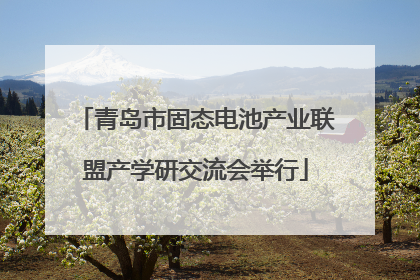 青岛市固态电池产业联盟产学研交流会举行