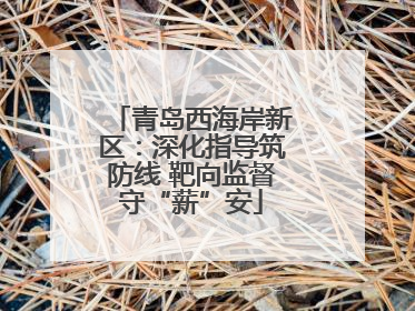 青岛西海岸新区：深化指导筑防线 靶向监督守“薪”安