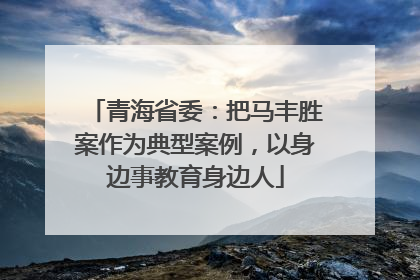 青海省委：把马丰胜案作为典型案例，以身边事教育身边人