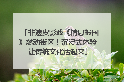 非遗皮影戏《精忠报国》燃动街区！沉浸式体验让传统文化活起来