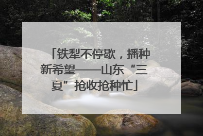 铁犁不停歇，播种新希望——山东“三夏”抢收抢种忙