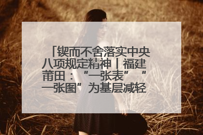锲而不舍落实中央八项规定精神丨福建莆田：“一张表”“一张图”为基层减轻“数字负担”