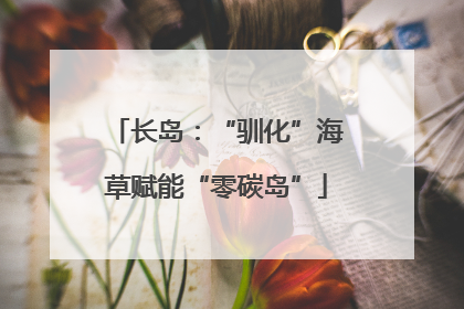 长岛：“驯化”海草赋能“零碳岛”