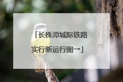 长株潭城际铁路实行新运行图→