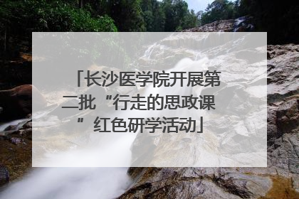 长沙医学院开展第二批“行走的思政课”红色研学活动