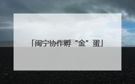 闽宁协作孵“金”蛋