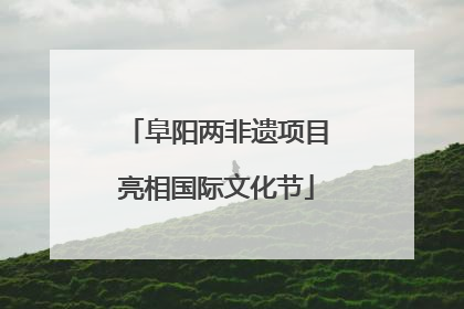 阜阳两非遗项目亮相国际文化节