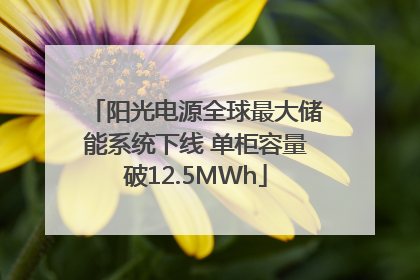 阳光电源全球最大储能系统下线 单柜容量破12.5MWh