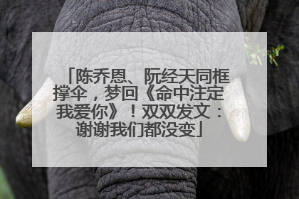 陈乔恩、阮经天同框撑伞，梦回《命中注定我爱你》！双双发文：谢谢我们都没变