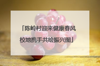 陈岭村迎来健康春风 校地携手共绘振兴图