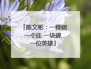 陈文彬：一棵树 一个庄 一块碑 一位英雄