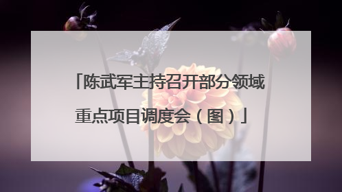 陈武军主持召开部分领域重点项目调度会（图）