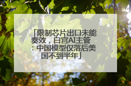 限制芯片出口未能奏效，白宫AI主管：中国模型仅落后美国不到半年