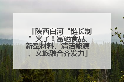 陕西白河“链长制”火了！富硒食品、新型材料、清洁能源、文旅融合齐发力