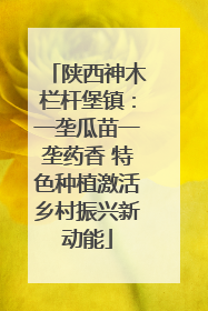 陕西神木栏杆堡镇：一垄瓜苗一垄药香 特色种植激活乡村振兴新动能