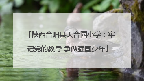陕西合阳县天合园小学：牢记党的教导 争做强国少年