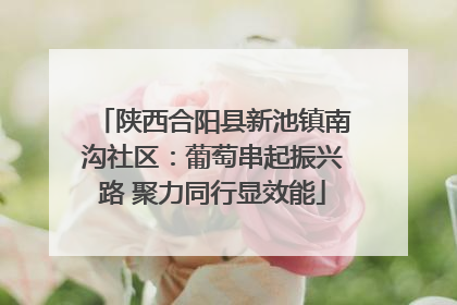 陕西合阳县新池镇南沟社区：葡萄串起振兴路 聚力同行显效能