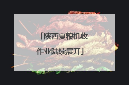 陕西夏粮机收作业陆续展开