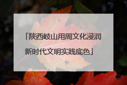 陕西岐山用周文化浸润新时代文明实践底色