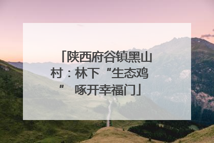 陕西府谷镇黑山村：林下“生态鸡” 啄开幸福门