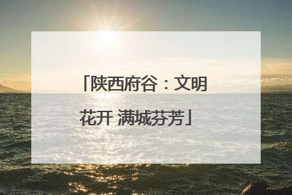 陕西府谷：文明花开 满城芬芳