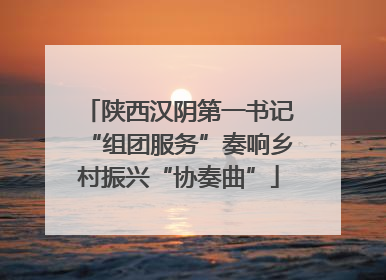 陕西汉阴第一书记“组团服务”奏响乡村振兴“协奏曲”