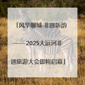 风华聊城·非遗新韵——2025大运河非遗旅游大会即将启幕