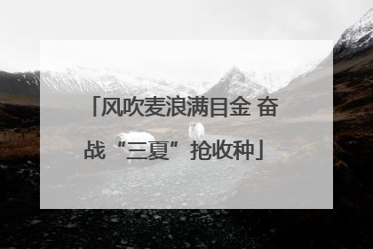 风吹麦浪满目金 奋战“三夏”抢收种