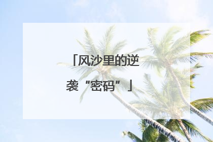 风沙里的逆袭“密码”