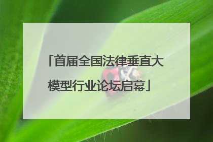 首届全国法律垂直大模型行业论坛启幕