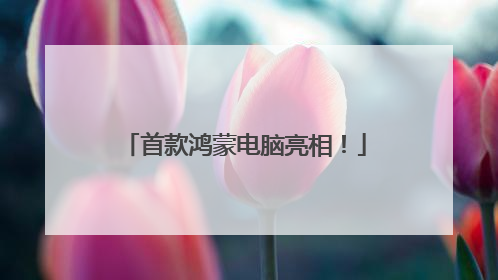 首款鸿蒙电脑亮相！
