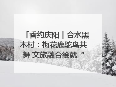 香约庆阳｜合水黑木村：梅花鹿鸵鸟共舞 文旅融合绘就“诗与远方”