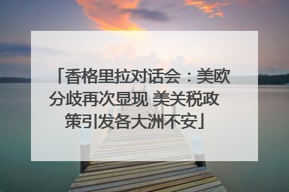 香格里拉对话会：美欧分歧再次显现 美关税政策引发各大洲不安