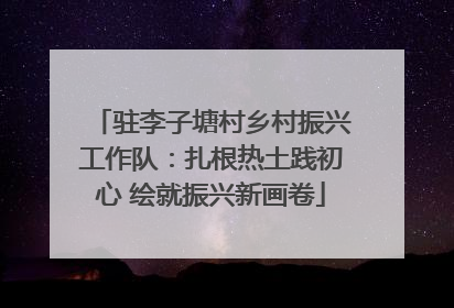 驻李子塘村乡村振兴工作队：扎根热土践初心 绘就振兴新画卷