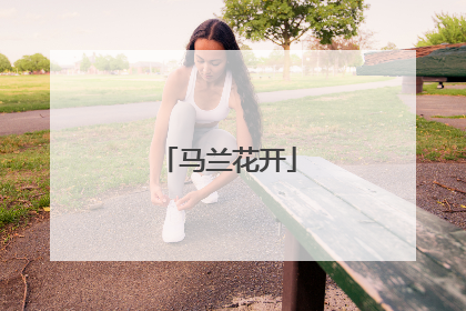 马兰花开