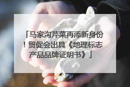 马家沟芹菜再添新身份！贸促会出具《地理标志产品品牌证明书》