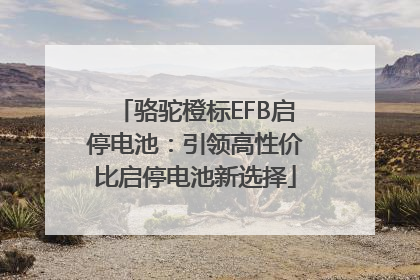 骆驼橙标EFB启停电池：引领高性价比启停电池新选择
