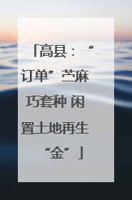 高县：“订单”苎麻巧套种 闲置土地再生“金”