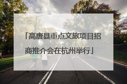 高唐县重点文旅项目招商推介会在杭州举行