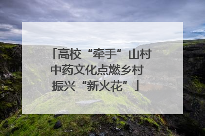 高校“牵手”山村 中药文化点燃乡村振兴“新火花”